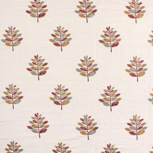 Minuet Pomegranate